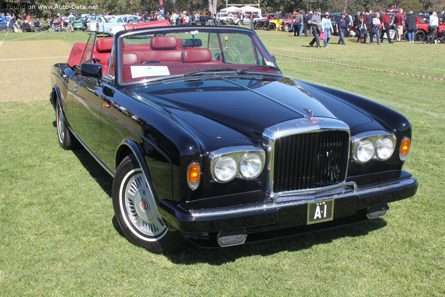 Bentley Continental Continental
