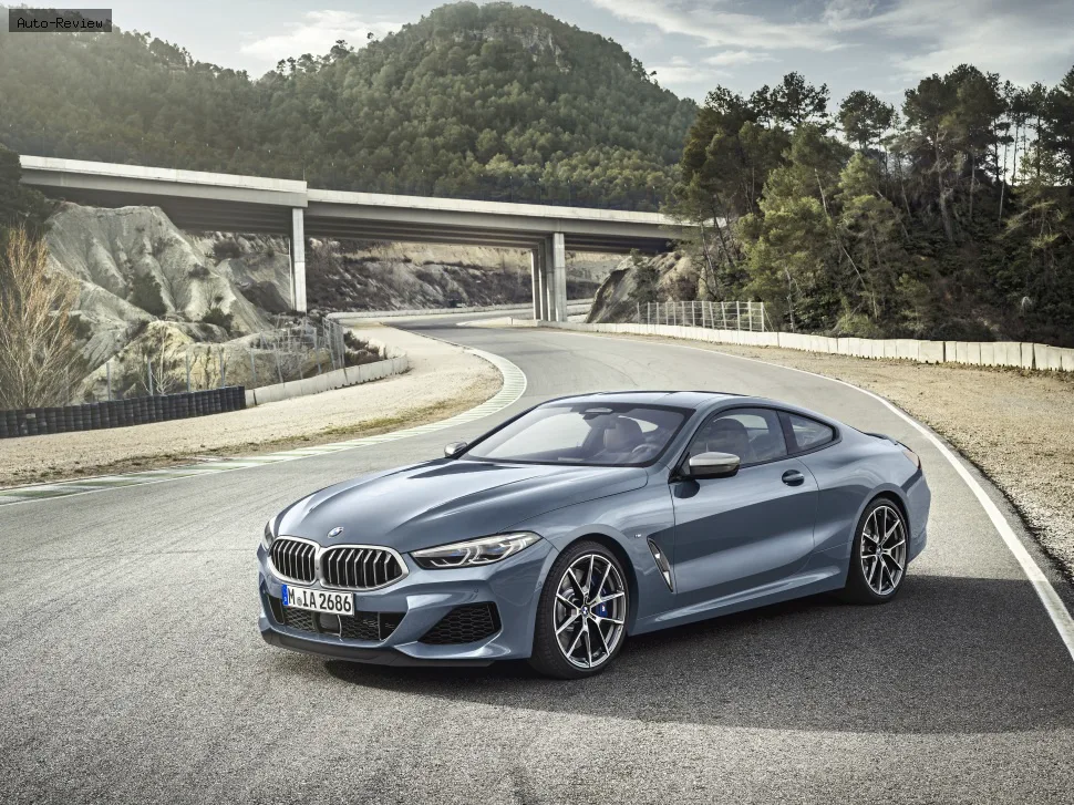 BMW 8 Серии 8 Серии (G15) — фото 3