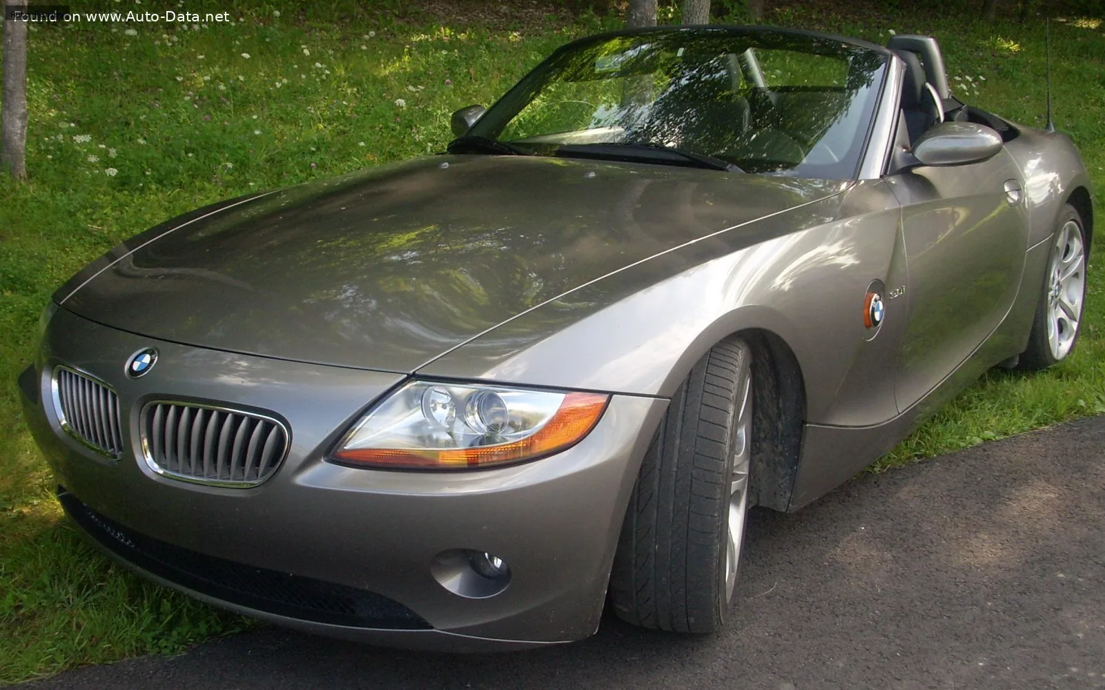BMW Z4 Z4 (E85)