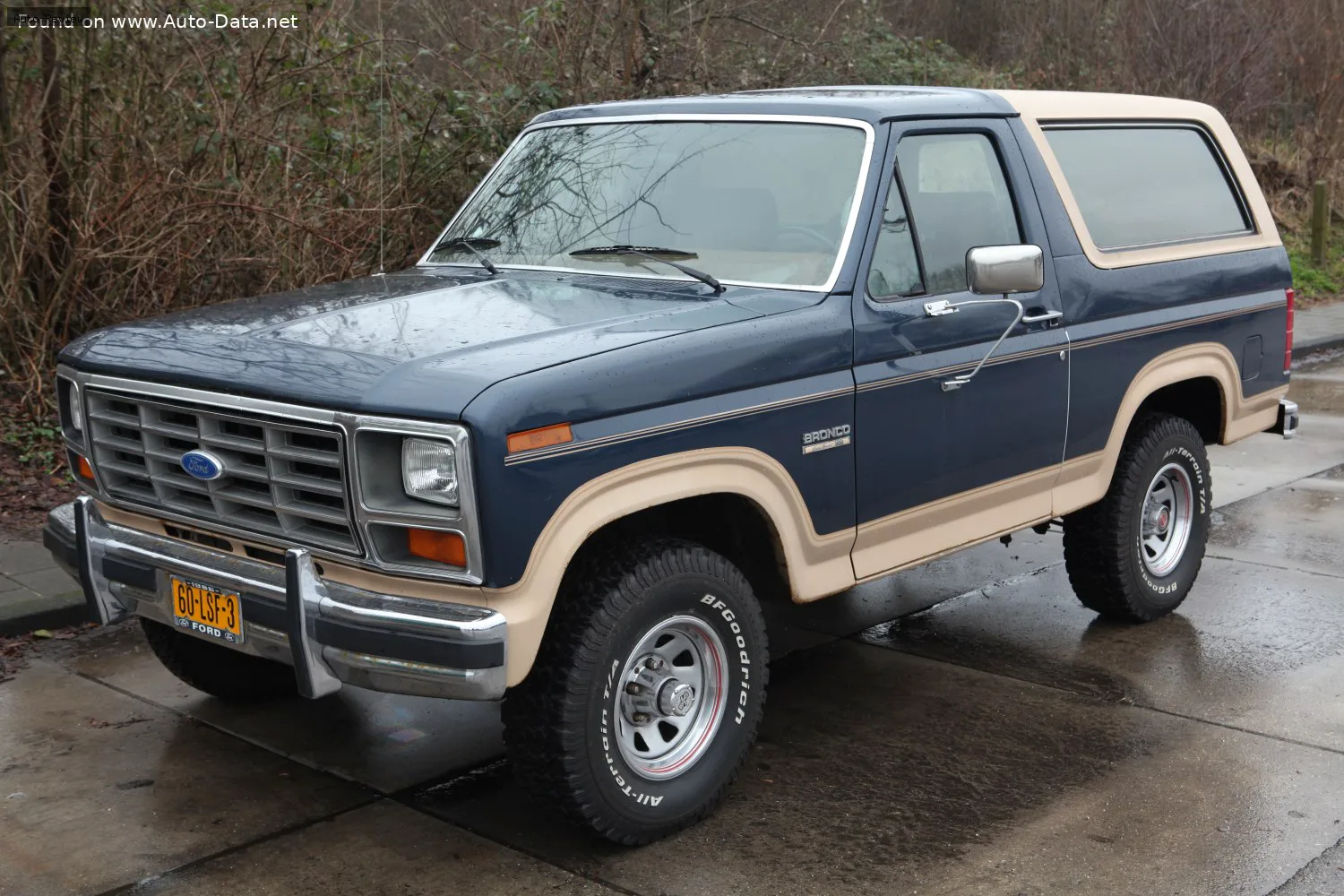 Ford Bronco Bronco III — фото 2