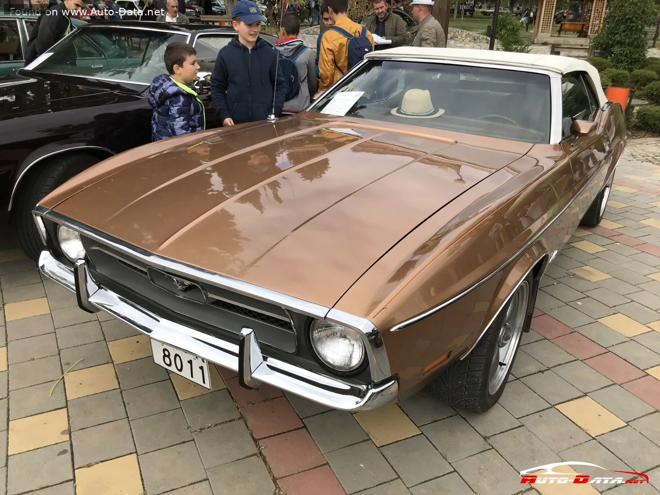 Ford Mustang Mustang I Convertible (facelift 1970)