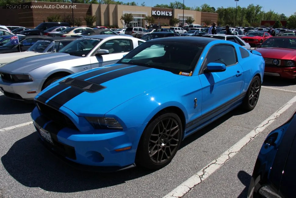 Ford Shelby Shelby II (facelift 2010) — фото 3
