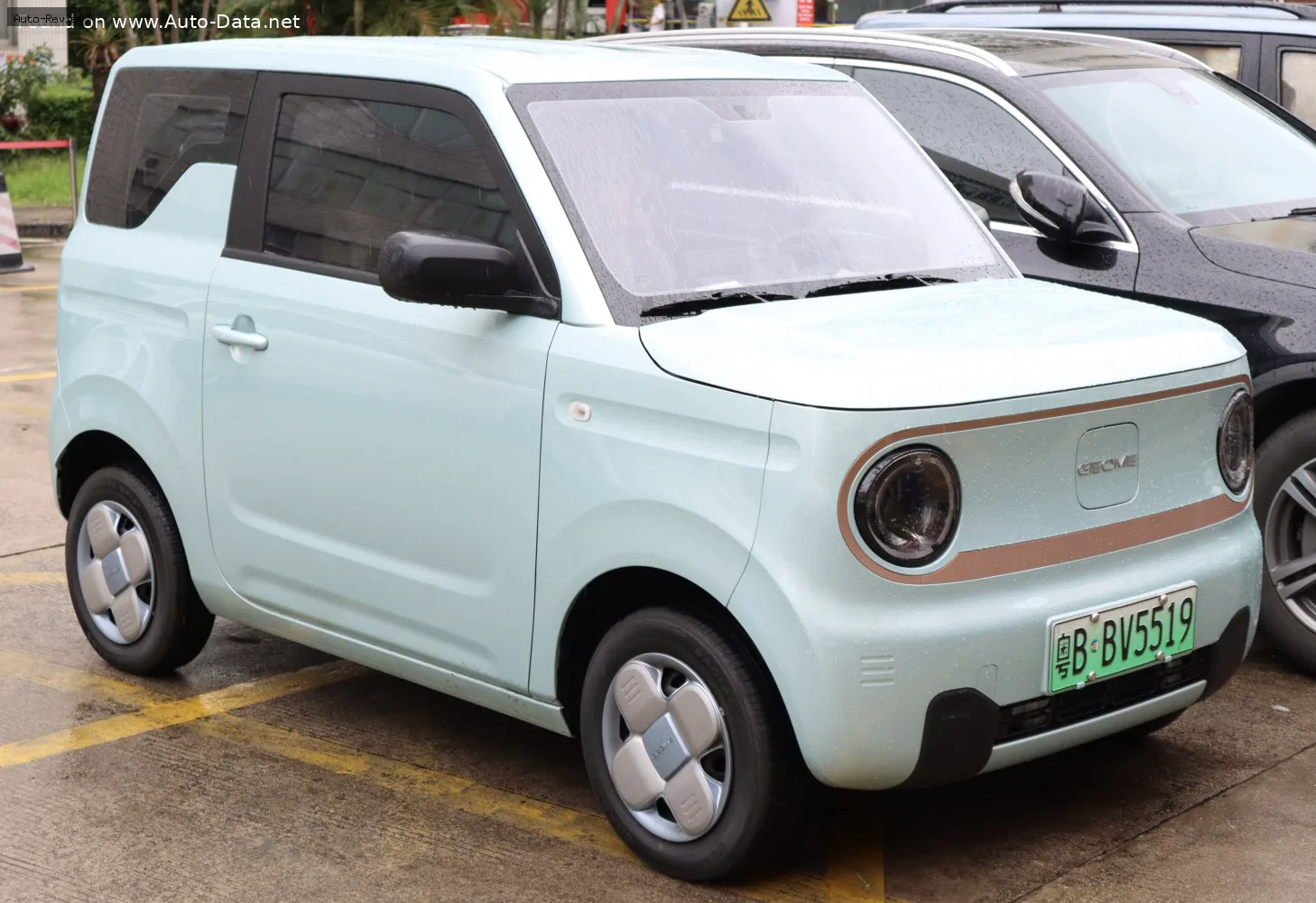 Geometry Panda Mini Panda Mini