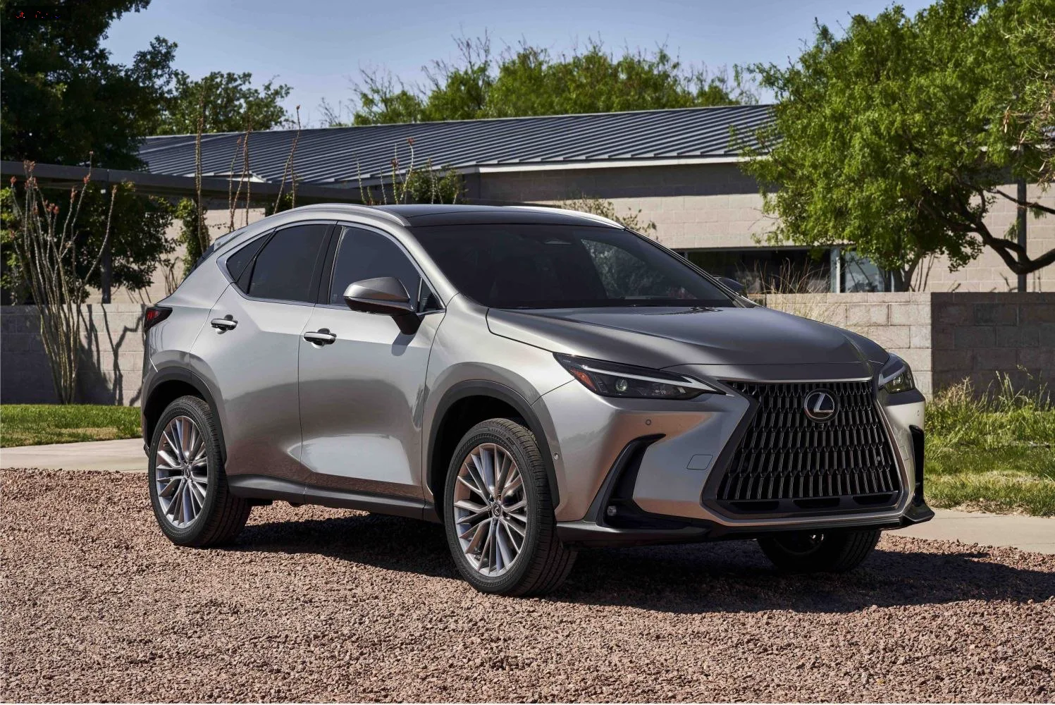 Lexus NX NX II (AZ20) — фото 2