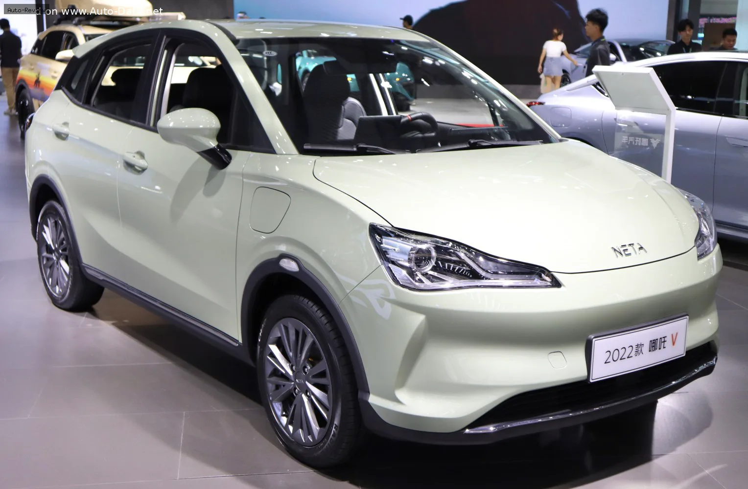 Neta V V