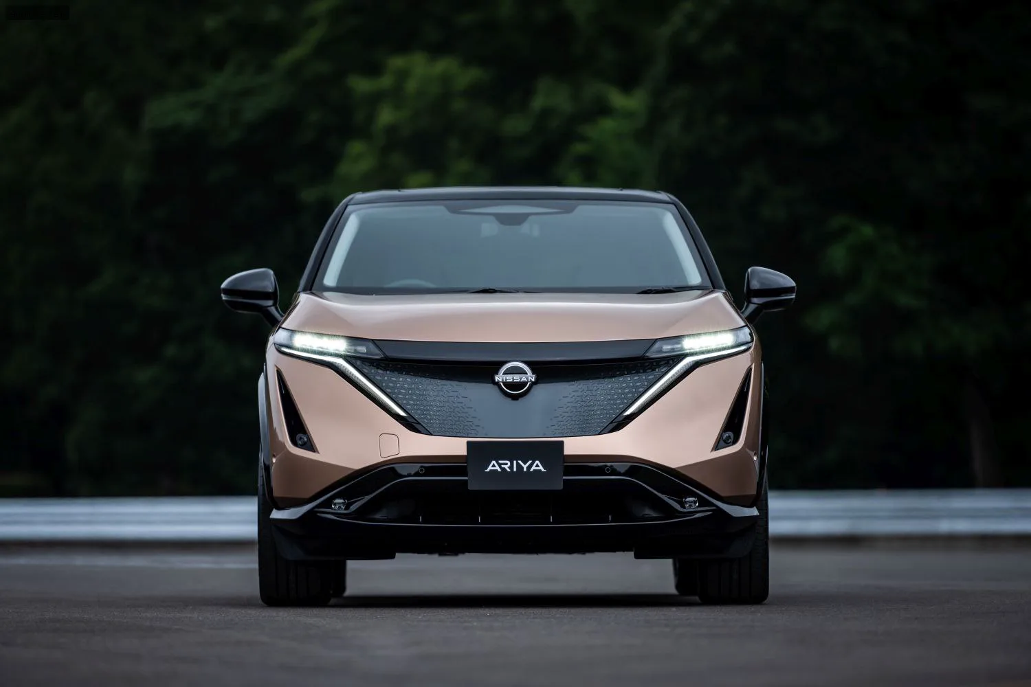 Nissan Ariya Ariya