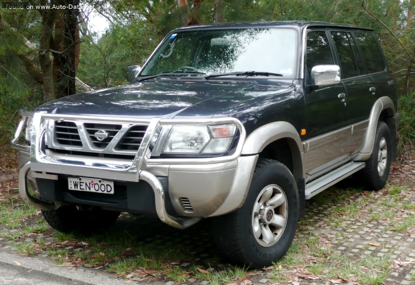 Nissan Patrol Patrol V 5-door (Y61) — фото 2