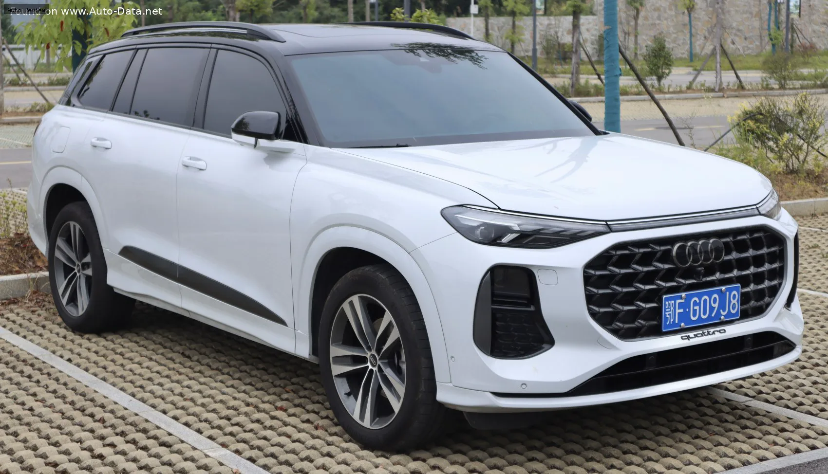 Audi Q6