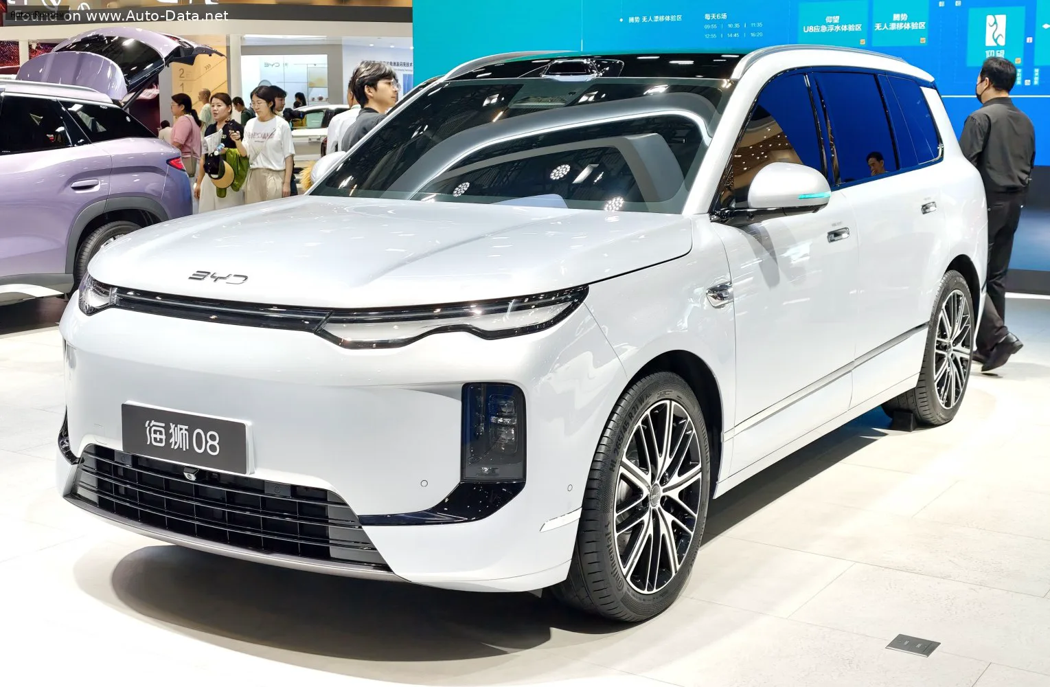 BYD Sea Lion 08
