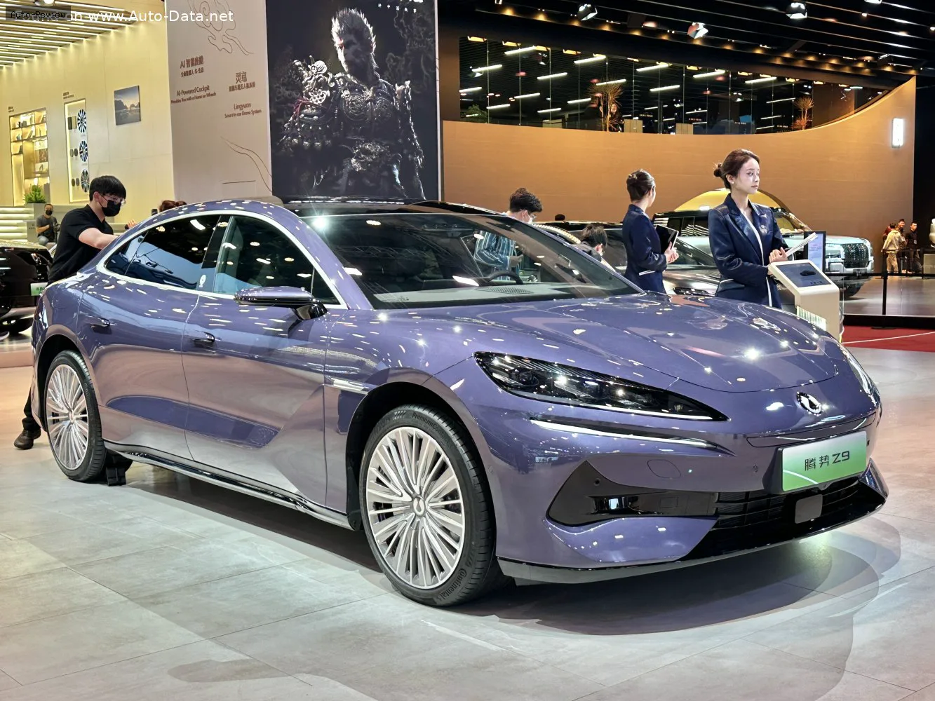 Denza Z9