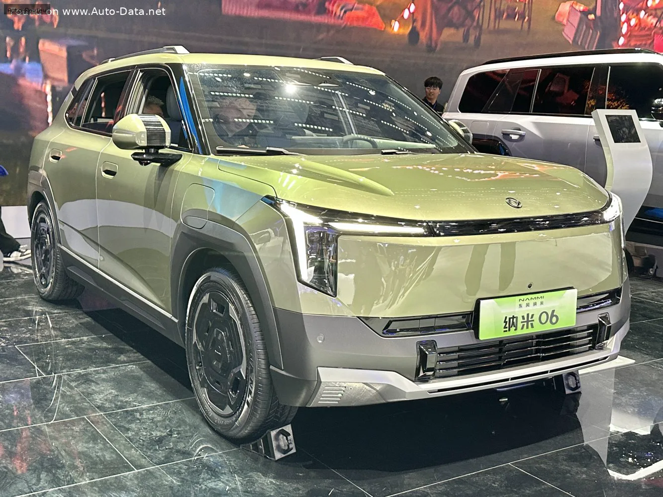 DongFeng Nammi 06