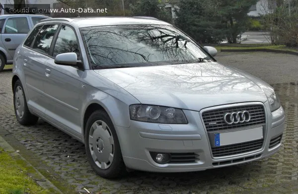 Audi A3 A3 Sportback (8PA) 1.9 TDI (105 лс) S-Tronic 2006 - 2008 — фото 4