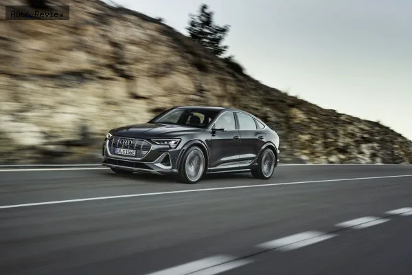 Audi e-tron e-tron Sportback S 95 kWh (503 лс) quattro 2020 - 2022 — фото 4