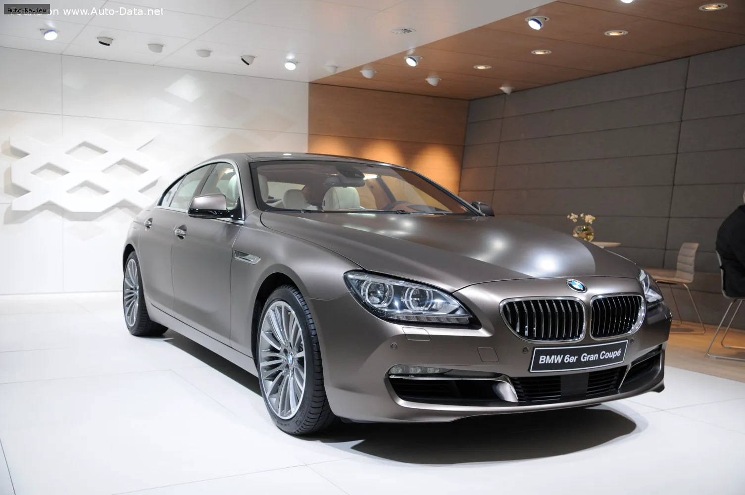 BMW 6 Серии 6 Серии Gran Coupe (F06) 650i (450 лс) xDrive Steptronic 2012 - 2015 — фото 3