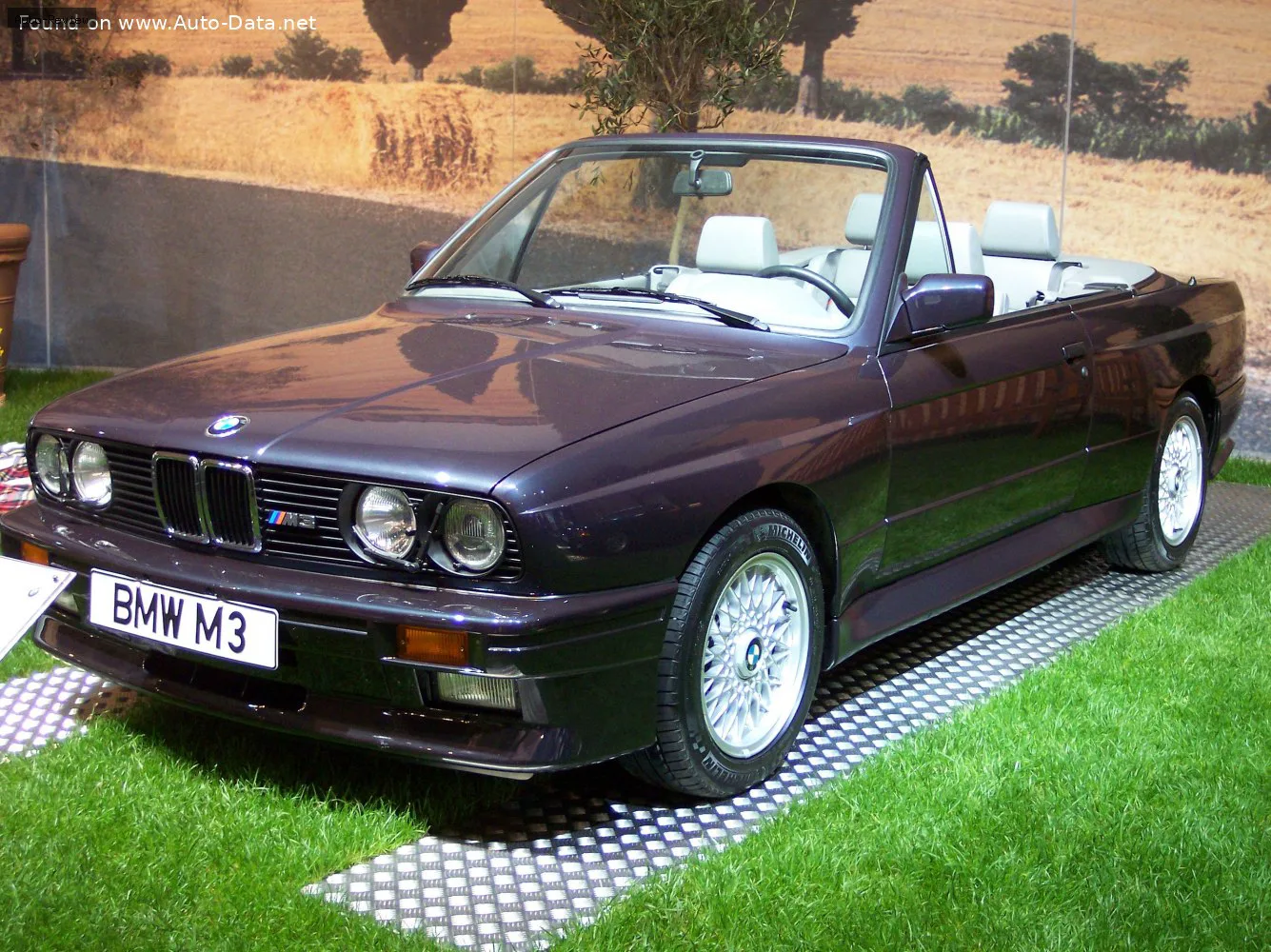 BMW M3 M3 Cabrio (E30) 2.3 (215 лс) CAT 1989 - 1991