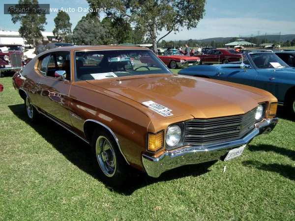 Chevrolet Chevelle Chevelle II Sport Coupe (facelift 1971) 4.1 Turbo-Thrift (110 лс) 1971 - 1972 — фото 2