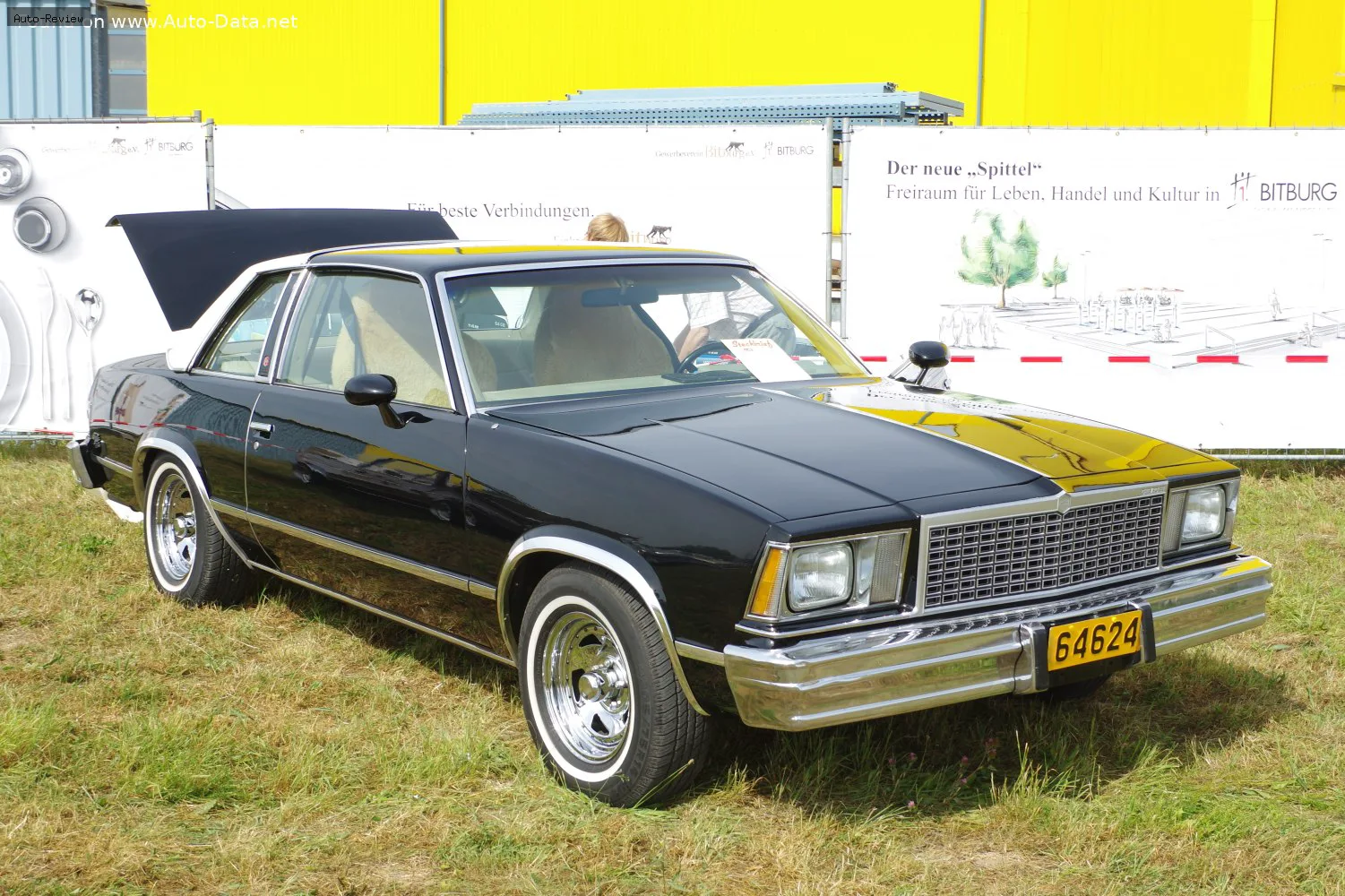 Chevrolet Malibu Malibu IV Sport Coupe 5.0 V8 (145 лс) CAT 1977 - 1978 — фото 3