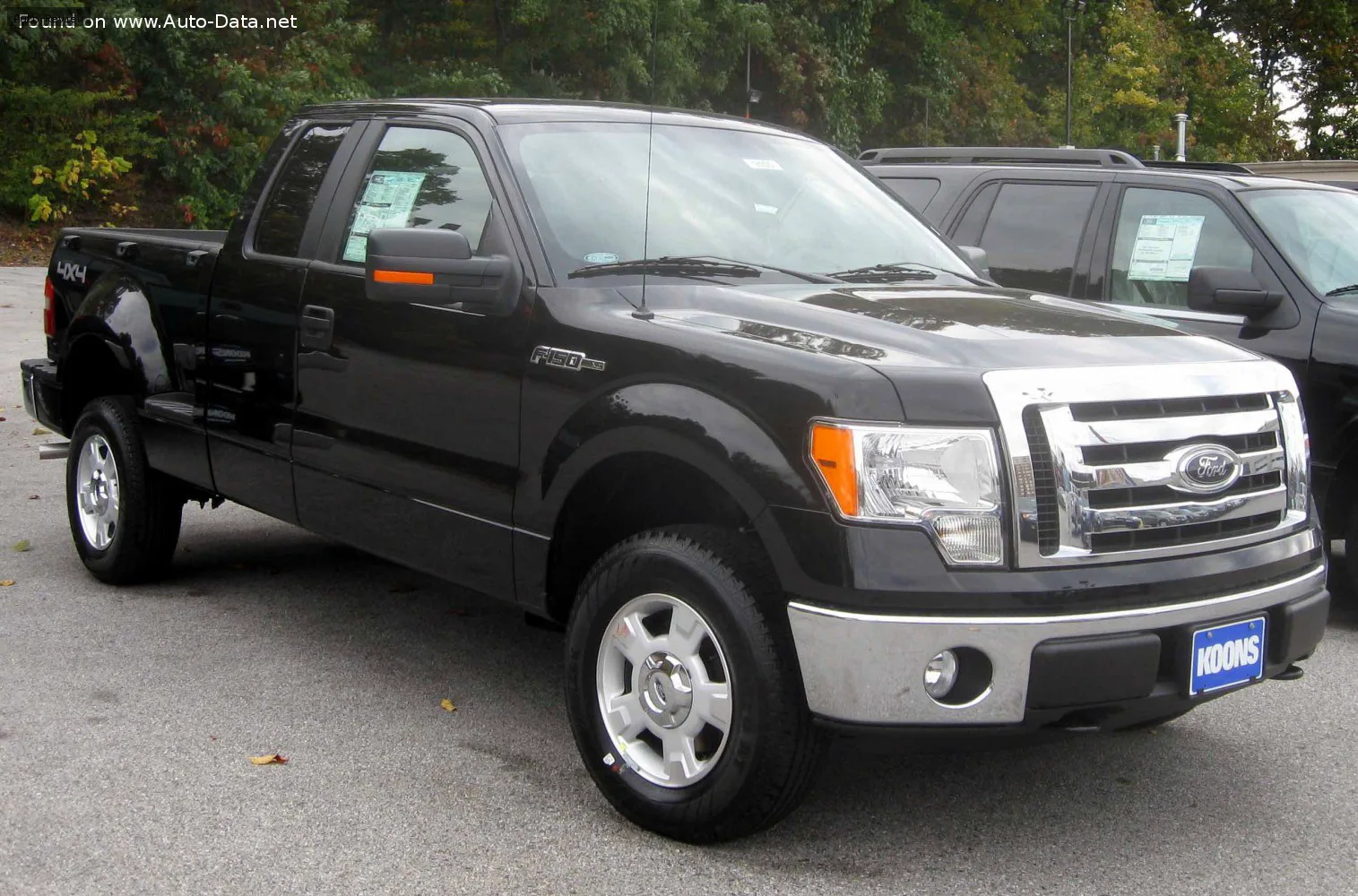 Ford F-Series F-100/F-150 F-Series F-150 XII Regular Cab 4.6 V8 (292 лс) Automatic 2008 - 2010 — фото 3