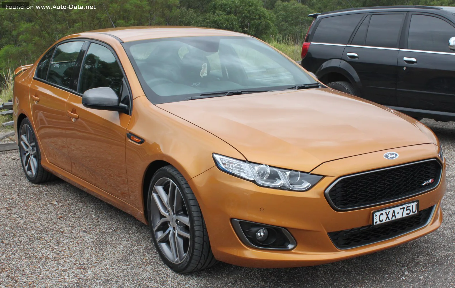 Ford Falcon Falcon (FG X) 4.0 DI-VCT Turbo (367 лс) 2014 - 2016 — фото 3