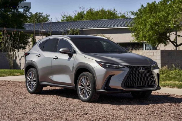 Lexus NX NX II (AZ20) 250 (203 лс) ECT-i 2021 - — фото 2