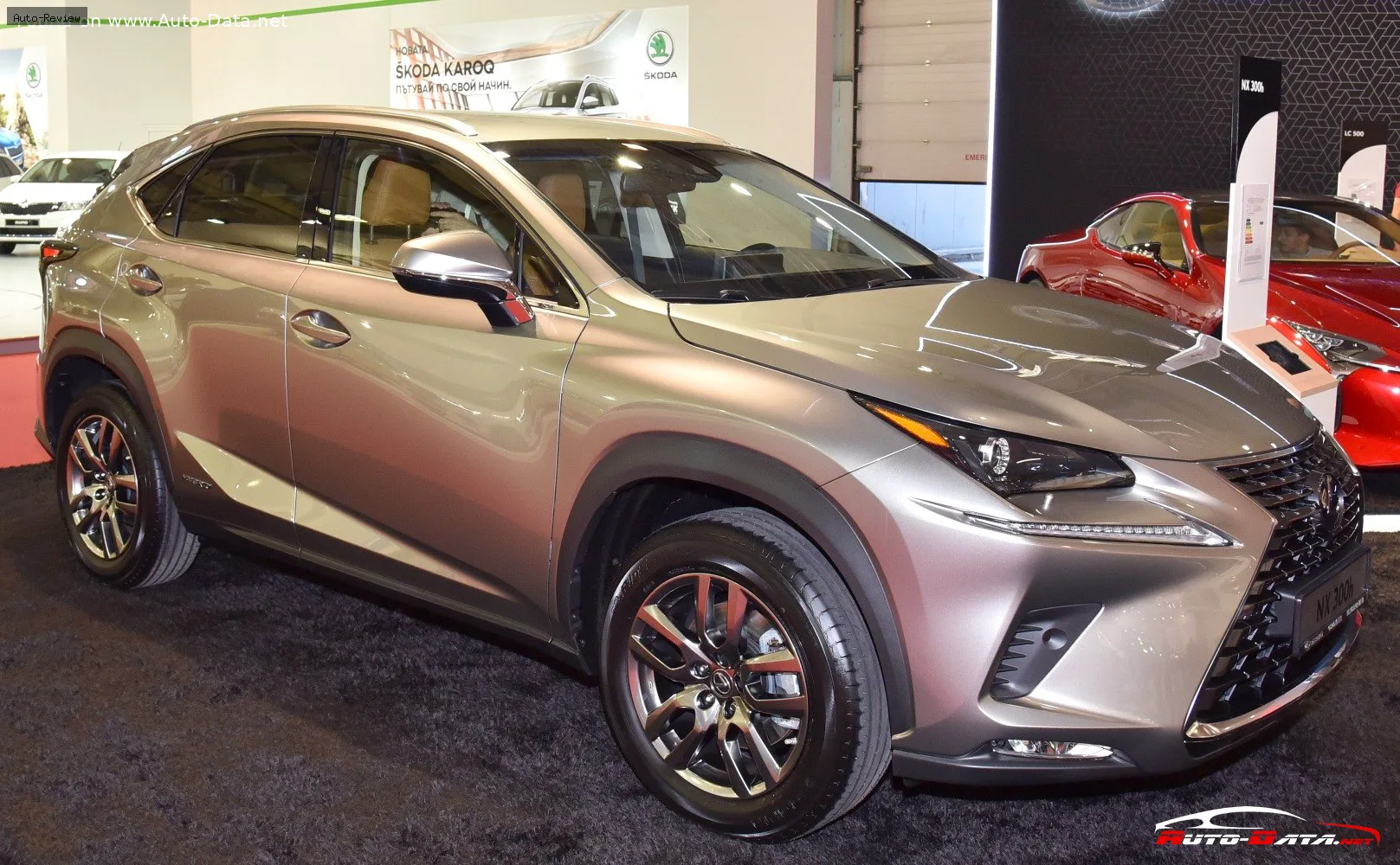 Lexus NX NX I (AZ10, facelift 2017) 300 (238 лс) AWD Automatic 2017 - 2021 — фото 3