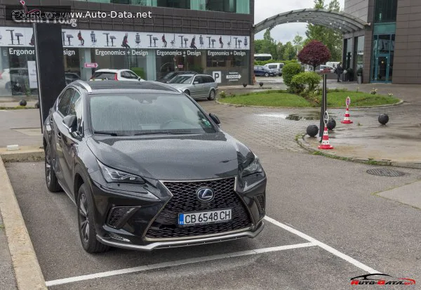 Lexus NX NX I (AZ10, facelift 2017) 300h (197 лс) Hybrid e-Four e-CVT 2017 - 2021 — фото 2