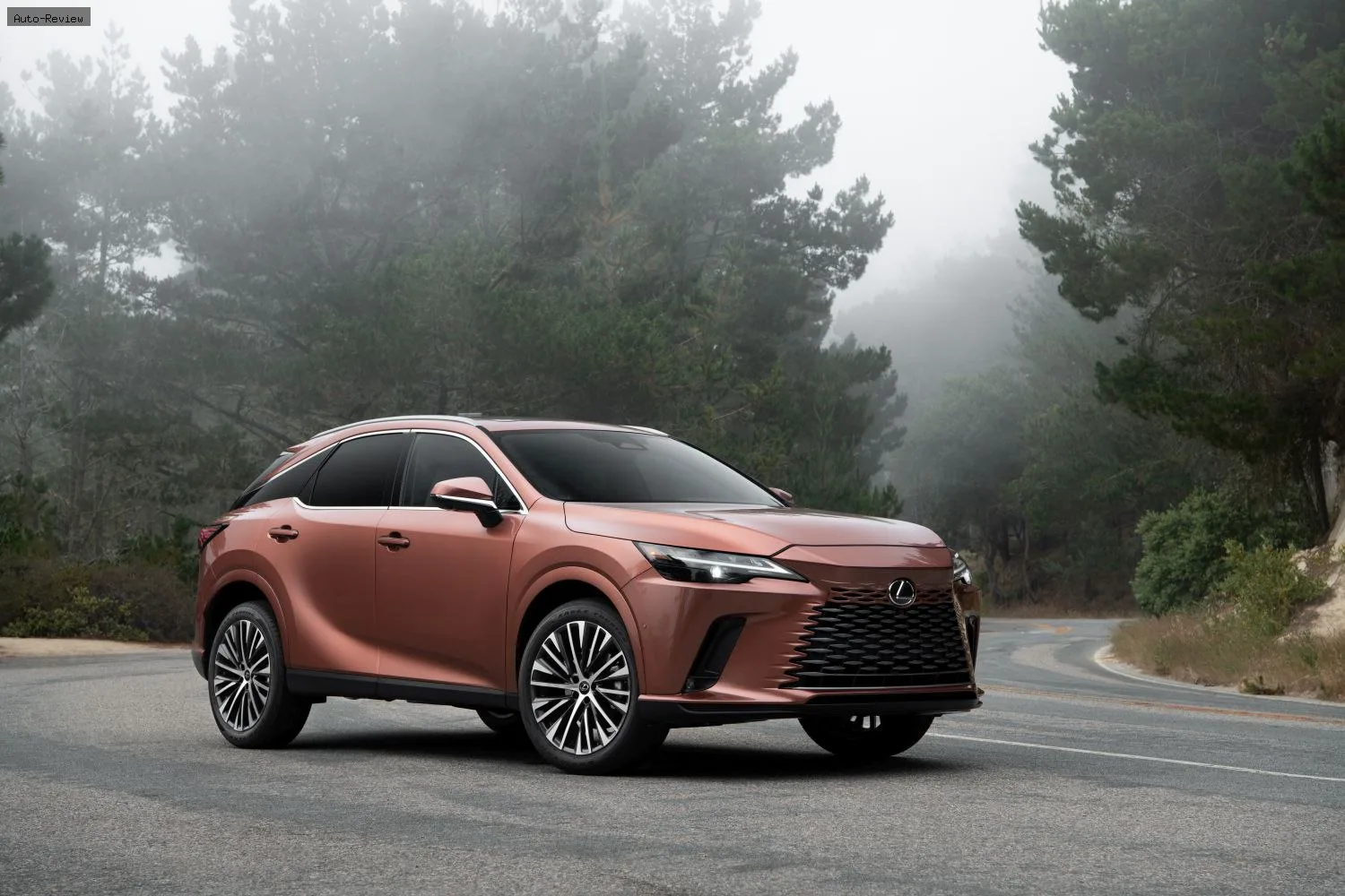 Lexus RX RX V 350 (275 лс) AWD ECT-i 2022 -