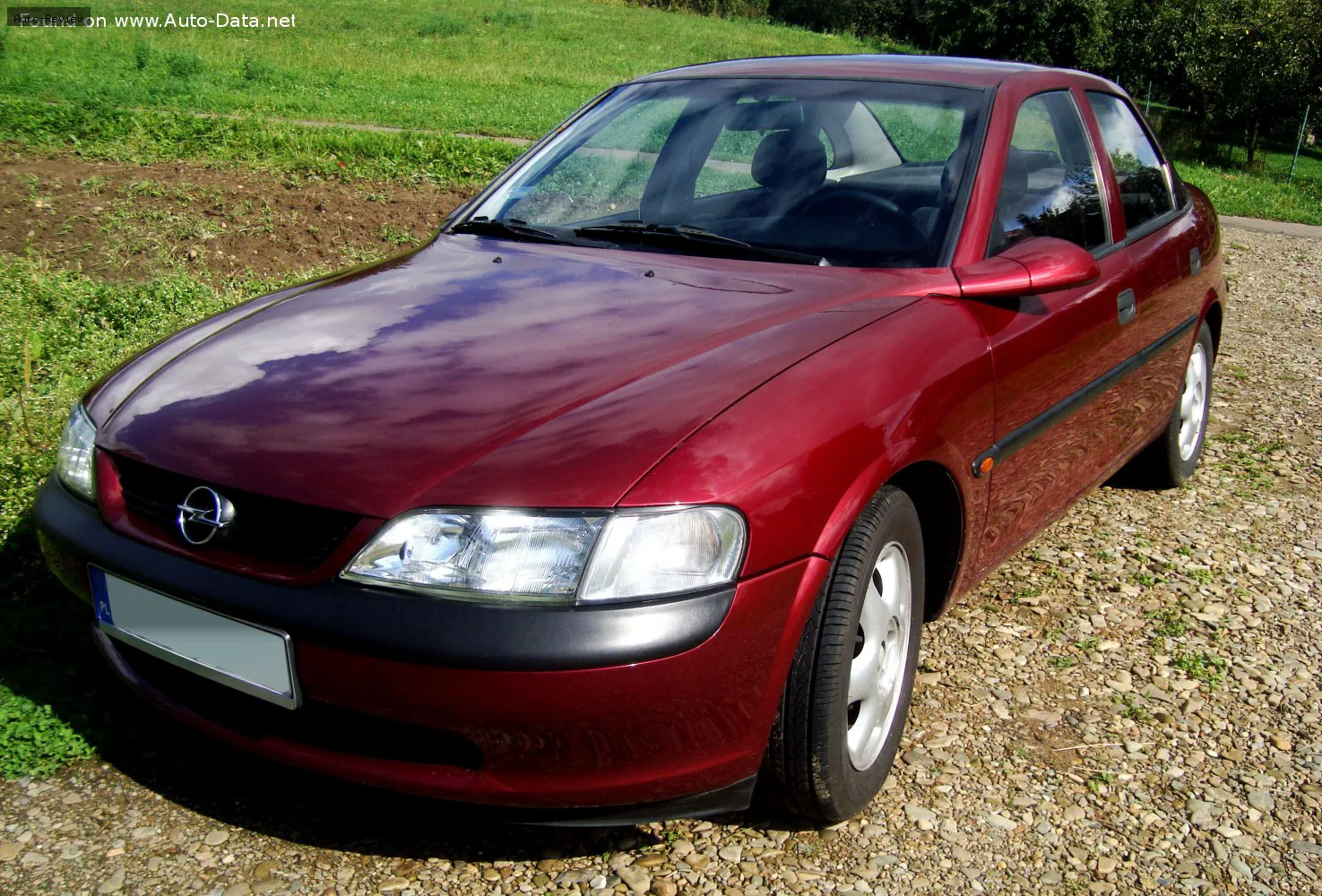Opel Vectra Vectra B CC 2.5i V6 (170 лс) Automatic 1995 - 1998
