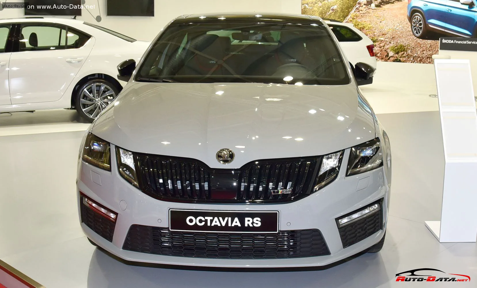 Skoda Octavia Octavia III (facelift 2017) RS 2.0 TDI (184 лс) 2017 - 2019 — фото 3