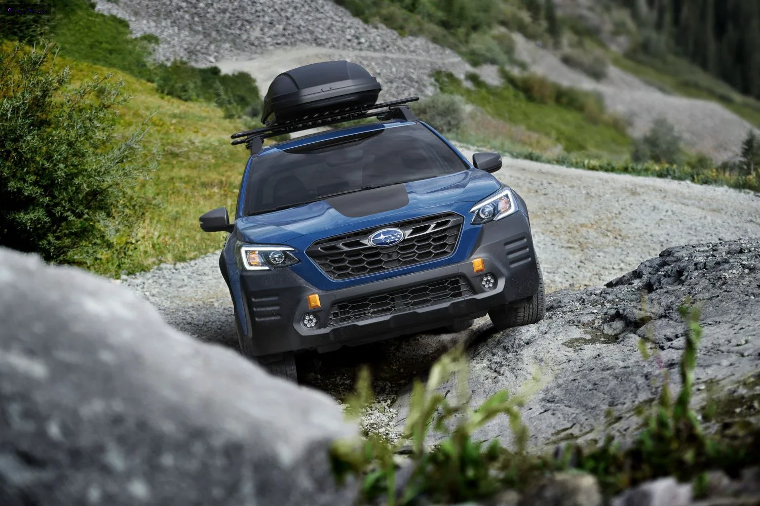 Subaru Outback Outback VI (BT) Wilderness 2.4 (260 лс) AWD Lineartronic 2021 - 2022