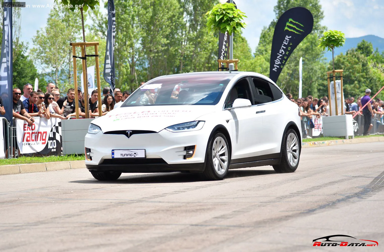 Tesla Model X Model X 90D 90 kWh (525 лс) Dual Motor AWD 2015 - 2017